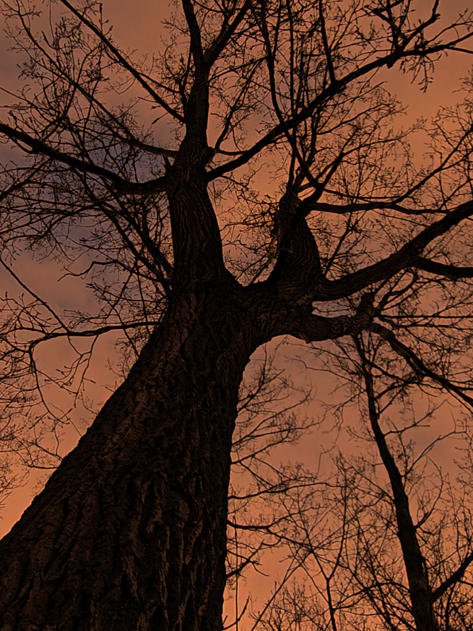#naturevibes 