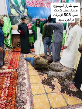 سيد طارق الموسوي 