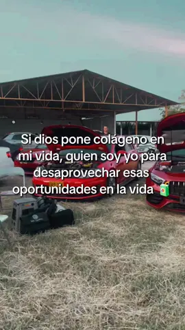 quien soy yo 🤣  #mustang #volkswagen #autos #paisaje #frasesmotivadoras 