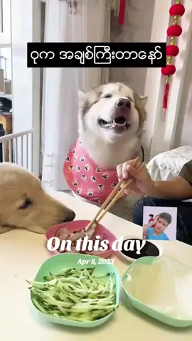 #onthisday