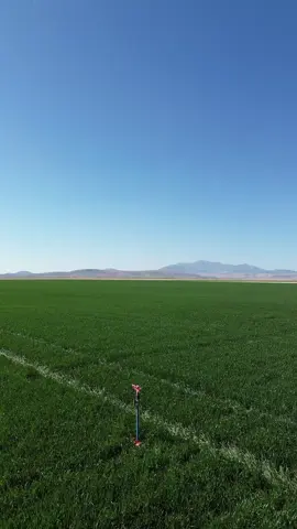 @İsmet can #ilaçlama #alparslantraktör #newholland #karapınarkonya 