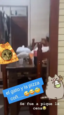 #gato #pizza #littleceasarspizza 