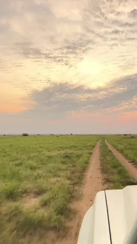 #ااصرت واثق في حبيب تودة#تصويري📸اكسبلوور #اليوم #تصميم_فيديوهات🎶🎤🎬 #حلي 