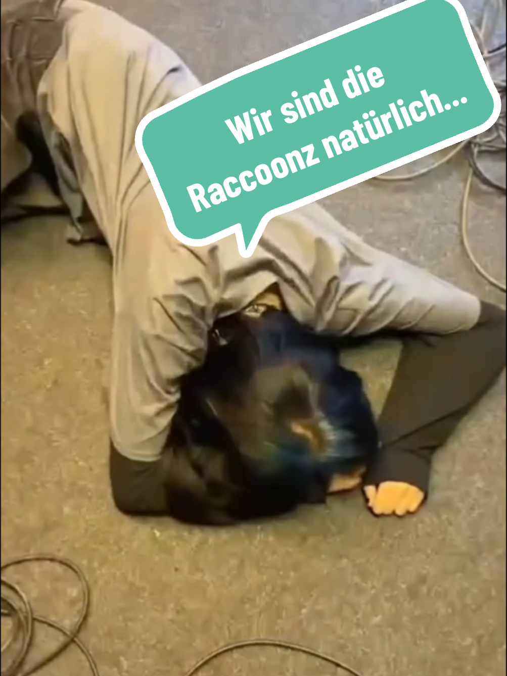 Lou geht's gut, we promise... #music #band #teenieband #alternative #fyp #erfurt #rock #grunge #musik 