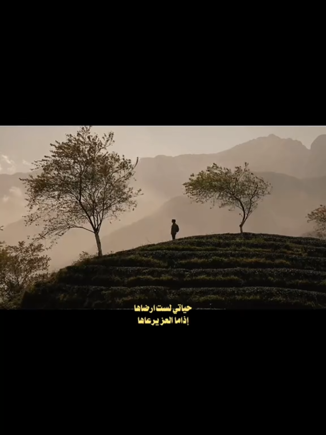 ريت ذيج الخيل اجتني وقبل جسمه ادوس جسمي | بكت عيني مولاها #باسم_الكربلائيَ #ريت_ذيج_الخيل_اجتني #حَسَن #باسم_الكربلائي 