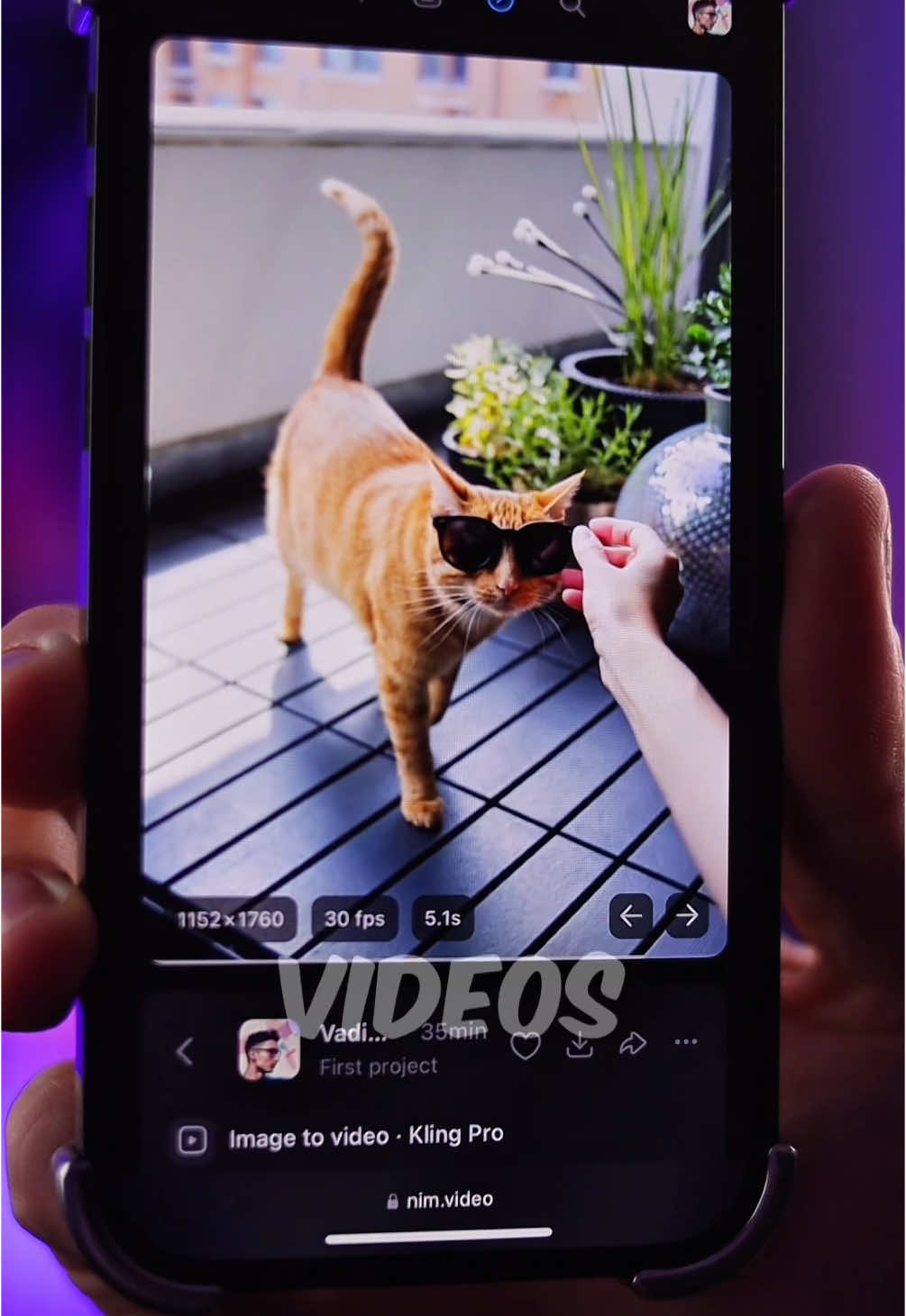 Mein Kater hat mehr Swag als ich, dank Nim Ai.😭 Foto rein → Sonnenbrille drauf → fertig ist der Star-Move. Du brauchst das auch. Link in Bio🤩  #TooCoolToEdit #AImadeThis #MainCharVibes #VideoHack #NimAI  