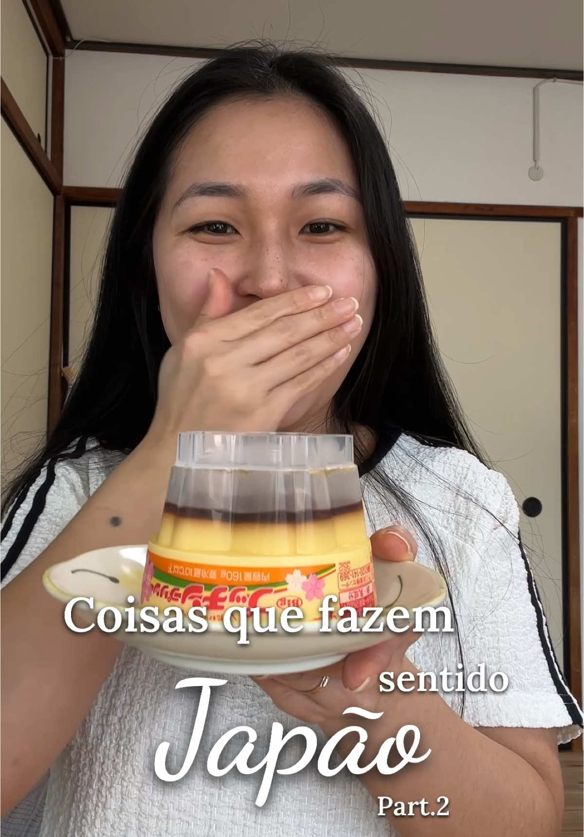 Para vocês também fazem sentido?? . . #japão #viral #brasileiranojapao #fypage #fyp #curiosidades 