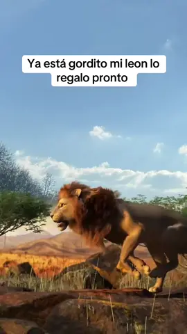 #vira #usa_tiktok #leon 