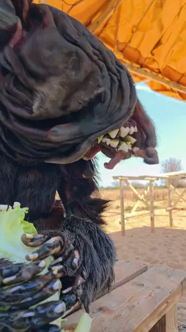 Feeding time for the big guy.  #pets #PetsOfTikTok #strange #creature #creepy #weird 