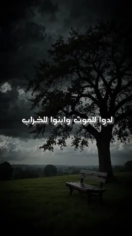 أرى الدنيا لمن هي في يديــه عذاباً كلما كثرت لديــــــه تهين المكـرمـين لـهـا بصغــر وتكرم كل مـن هانت عليــه #أناشيد_بدون_موسيقى  #مشاري_العفاسي 