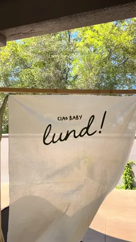Baby boy shower that my sisters and I threw for our sister this weekend. Turner out sooo cute!  🪴🫛🛁 #babyshower #babyshowertheme #babyboyshower #pregnant #pregnancy #firsttimemom 