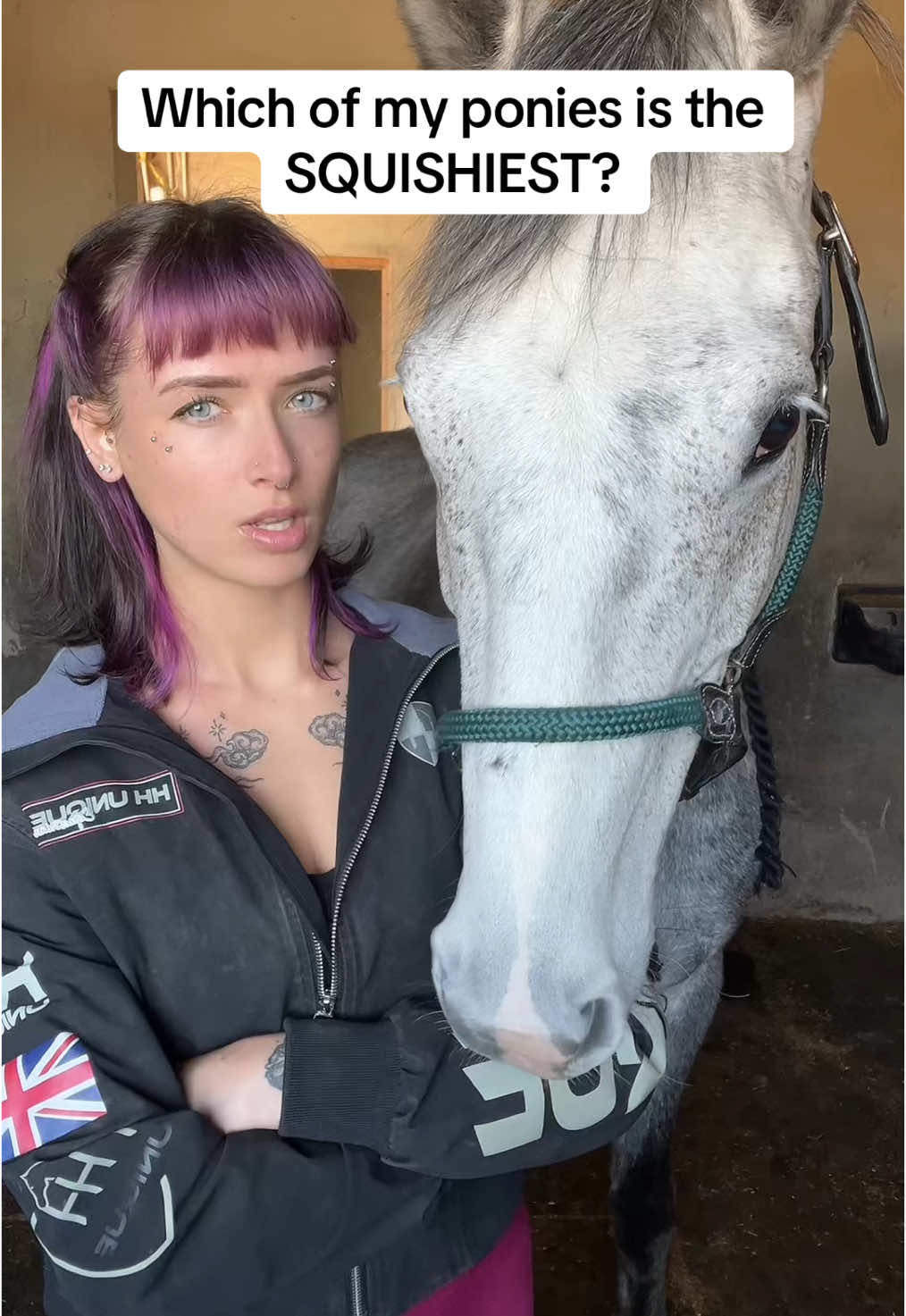 This is a SERIOUS competition guys. May the squishiest pony triumph. #horse #equine #equestrian #horsetok #horsesoftiktok #equestrianvibes #horsebackriding #horsegirl #fyp #foryou #abcxyz 