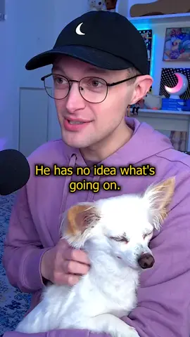 currently: playing games with Piggie on the couch 😌🐶 Thank you, @ROG Global!! Check out the 2025 ROG Flow Z13 ➡️ https://rog.gg/FlowZ13_Halfmoonjoe #gifted #ROG #republicofgamers #ASUS #gaming 