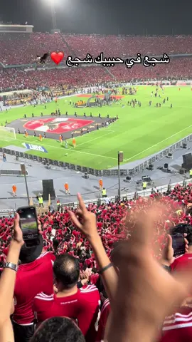 #شجع #الاهلي_فوق_الجميع #التراس_اهلاوي #تريند 
