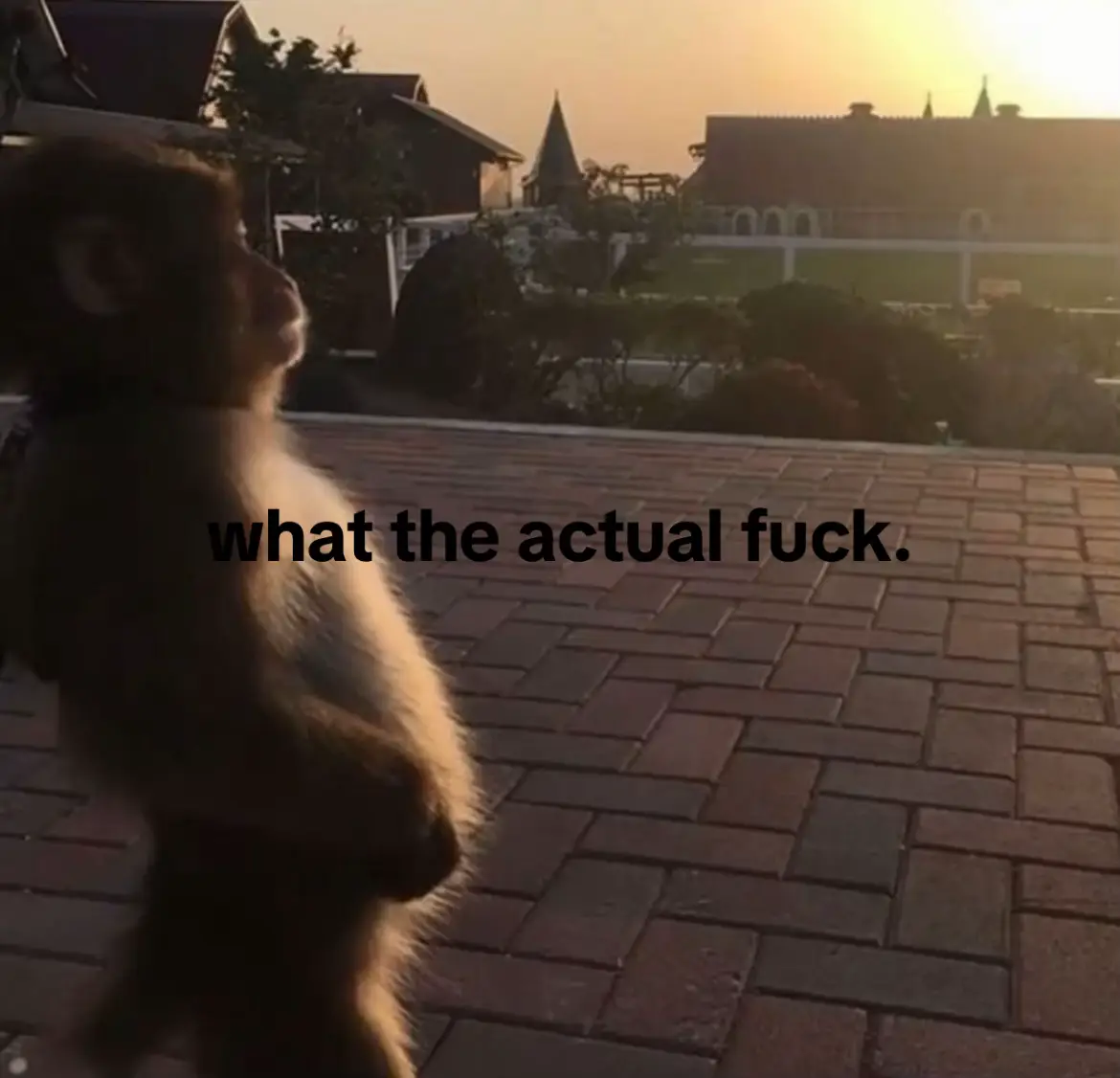 care to explain. #relatable #fyp #me #vibes #pourtoii 