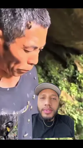 A true savage #bee #bees #beekeeper #beetok #honey #honeycomb #honeybee #stungbyabee #beehive 