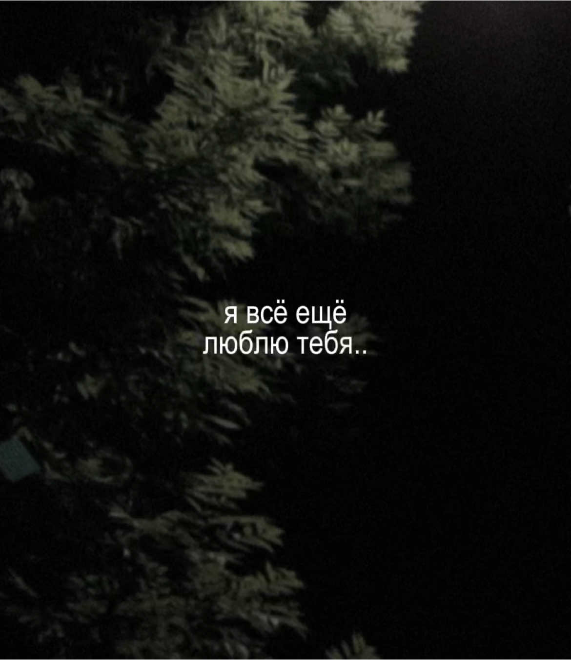 — я всё ещё люблю тебя.. // трек в тгк: @elementfttg #element_ft #футаж #футажи 