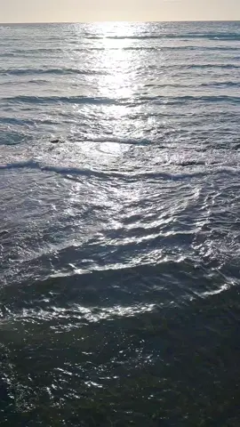ليلة وداعِك بِكْيِت النّايـات و غنّت معي عَلَحِنْ يـَـا ويْلِي و رايْحـة ويَا جَوْعة الغَمْرَات عَخَصِر لَفُّو الزّنبق شميْلِي لَيلة و كاِنت آخِر السّهرات قدّيْش فـيـهَا قِلتْ يـا ليْلِي خدْلي لَيـالِي كِل عُمري وهـات بعِد ليلة متِل هاللّيلة، ليْلة ترغلّي يا ترغلّي غلّي بضلوعي غلّي ترغلّي يا ترغلّي غلّي بضلوعي غلّي و ان بدّك قلبي الغالي و لو كنّو سعرُه غالي و ان بدّك قلبي الغالي و لو كنّو سعرُه غالي منرخّص ما منغلّي، منرخّص ما ما منغلّي ترغلّي يا ترغلّي غلّي بضلوعي غلّي و ان بدّك قلبي الغالي و لو كنّو سعرُه غالي منرخّص ما منغلّي، منرخّص ما منغلّي ترغلّي غلّيلي بروحي خلّيكي بقلبي لا تروحي ترغلّي غلّيلي بروحي خلّيكي بقلبي لا تروحي طفّيلي النّار، ليل ويّا نهار طفّيلي النّار ليل ويّا نهار و ان بدّك قلبي الغالي و لو كنّو سعرُه غالي و ان بدّك قلبي الغالي و لو كنّو سعرُه غالي منرخّص ما منغلّي، منرخّص ما ما منغلّي ترغلّي يا ترغلّي غلّي بضلوعي غلّي و ان بدّك قلبي الغالي و لو كنّو سعرُه غالي منرخّص ما منغلّي، منرخّص ما منغلّي حتكوني البلسم لجروحي بالسّر الغالي لا تبوحي حتكوني البلسم لجروحي بالسّر الغالي لا تبوحي و عليكي بغار، يا بنت الجار أنا عليكي بغار يا بنت الجار و ان بدّك قلبي الغالي و لو كنّو سعرُه غالي و ان بدّها قلبي الغالي و لو كنّو سعرُه غالي منرخّص ما منغلّي، منرخّص ما ما منغلّي ترغلّي يا ترغلّي غلّي بضلوعي غلّي ترغلّي يا ترغلّي غلّي بضلوعي غلّي و ان بدّك قلبي الغالي و لو كنّو سعرُه غالي و ان بدّك قلبي الغالي و لو كنّو سعرُه غالي منرخّص ما منغلّي، منرخّص ما منغلّي🎶❤️👑 @Georges Wassouf  . . . #WelcomeWassouf #درغلي #ليلة_وداعك_بكيت_النايات #سلطان_الطرب #سلطان_الطرب_جورج_وسوف #سلطان_الطرب_جورج_وسوف🕊️ #سلطان_الطرب_أبووديع #ابووديع #ابووديع_سلطان_الطرب #ابو_وديع #ابو_وديع_سلطان_الطرب #ابو_وديع_جورج_وسوف_ #وسوف #وسوفيات #وسوفيات_ابو_وديع_سلطان_الطرب #وسوفيات🎼🎤🎧👑🎻 #الوسوف #الوسوفي👑🎼🎶 #جورجوسوف #جورج_وسوف_🔚ابو_وديع_سلطان_الطرب👑 #جورج_وسوف🎶🎵🎤🔚 #جورج_وسوف_سلطان_الطرب💙 #جورج_وسوف_سلطان_الطرب_الاصيل #جورج_وسوف_سلطان_الطرب_ابووديع #اغاني #Sing_Oldies #لبنان #الوطن_العربي #تيك_توك #تيك_توك_عرب #متابعه #ليك #اعادة_النشر🔃 #page_old_songs 