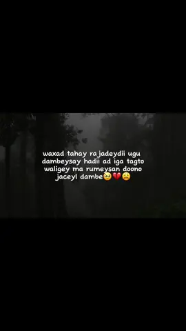 🥹💔#writerzir44ji #fyp #mytype #foryoupage #video #somaliticktok #viral_video #viewsproblem😭 