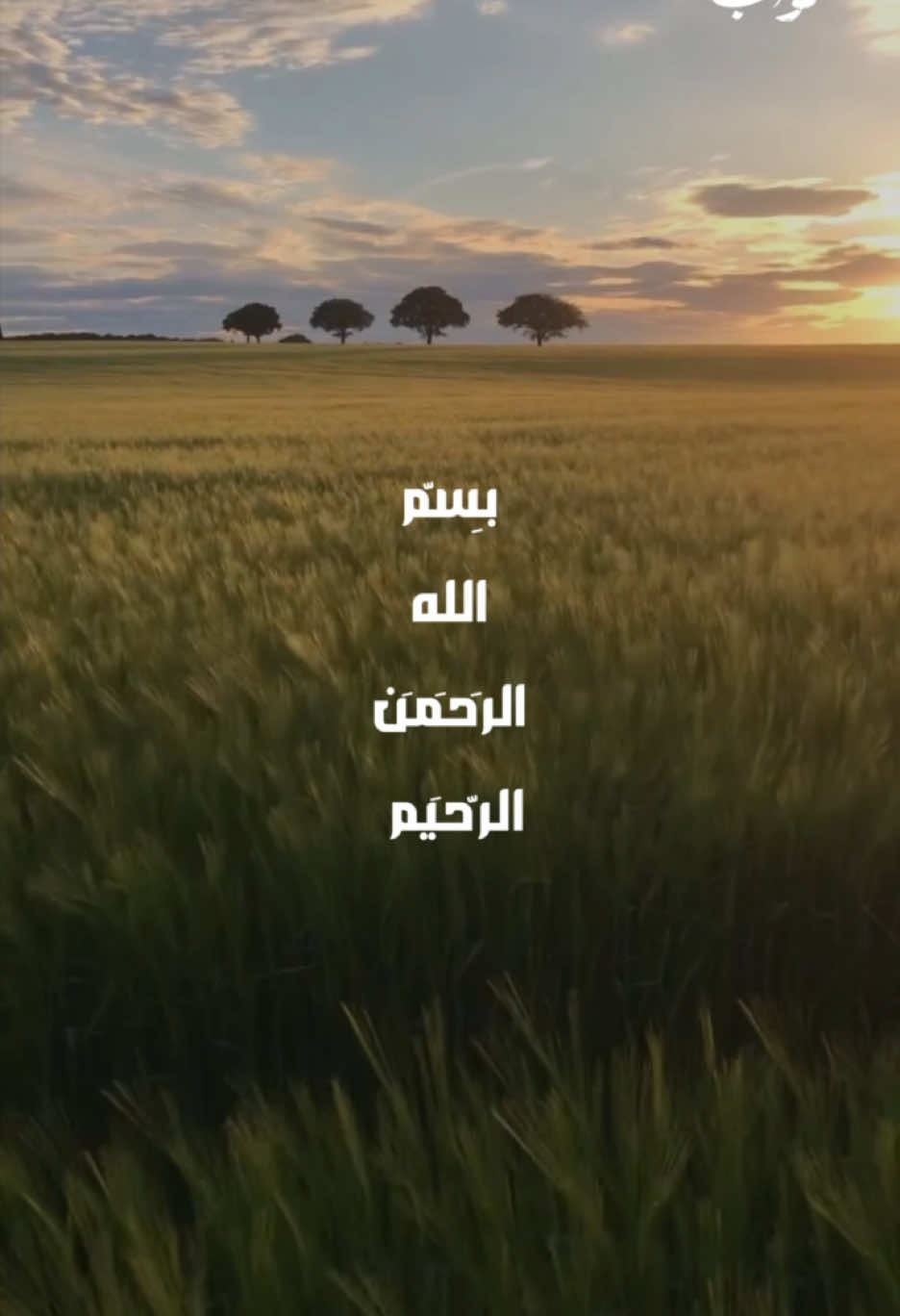 اللهم وفّقنا لما تحبّ وترضى، وخذ بناصيتنا إلى البرّ والتقوى، واهدِنا لما اختلف فيه من الحق بإذنك، إنك تهدي من تشاء إلى صراط مستقيم . . . . #أهل_البيت #حب_أهل_البيت #خدام_الحسين #القرآن_والعترة #الإسلام #الإمام_علي #نهج_البلاغة #وصي_الرسول #دعاء_كميل #دعاء_الندبة #زيارة_الأربعين #یا_صاحب_الزمان  #دعاء_أبي_حمزة_الثمالي #لحظات_السحر #روحانية #مناجاة #التوبة #الخشوع