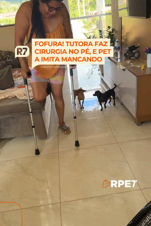 Quem aguenta tanta fofura? 🥹 Viralizou na web um vídeo de uma mulher que havia feito uma cirurgia no pé e, por isso, estava mancando. Ao ver a tutora andando daquela forma, a pet da família a imita, levantando uma patinha. Assista! 🤣 ➡️ Veja mais em R7.com/rpet. O link está na bio. #PortalR7 #R7 (🎥 Reprodução| @gab33202 | @myhoodbr)