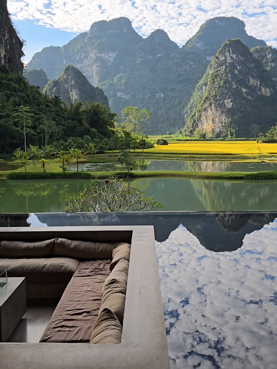 The most surreal stay on Earth 🍃  📍Lux Chongzuo