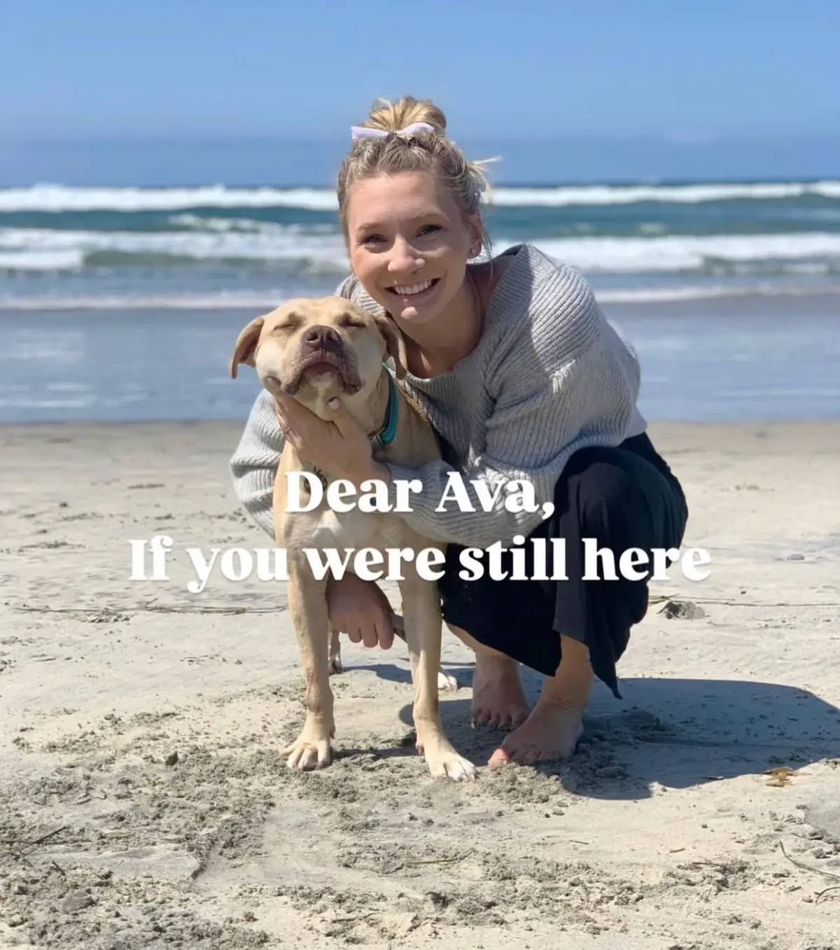 Unexpedly losing our soul dog while anticipating the most exciting time in our lives was devastating, but she’ll always be with us in the sweetest way 💖 #rescuedog #souldog #babygirl #momanddad #missingyou 