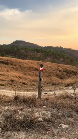 ❤️‍🩹 #joansebastian #sol #paratii #fyp #video #atardeceres🌅 