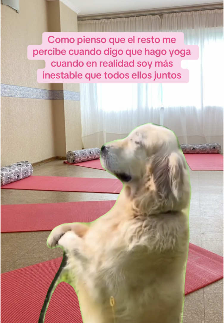 Súmate a nuestras clases de yoga en el centro de Córdoba (y con la mejor energía ✨) Encontranos en Ig como @mantra.holisticas 🌈 #CapCut #yoga #Meme #holisticas 
