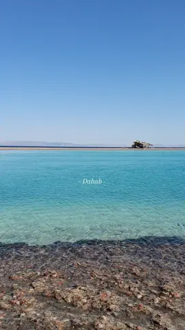 Slow life in Dahab 🤍 #dahab #dahabegypt #دهب_جنوب_سيناء #egypt #dahabvibes #sinai #redsea #slowlife 