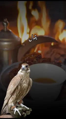 #أكسبلور_شعر_حكم_خواطر 