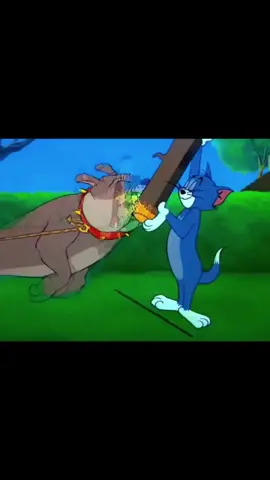 #мопсырулят 