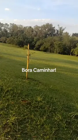 Bora Caminhar! #caminhada #videoviral #fy