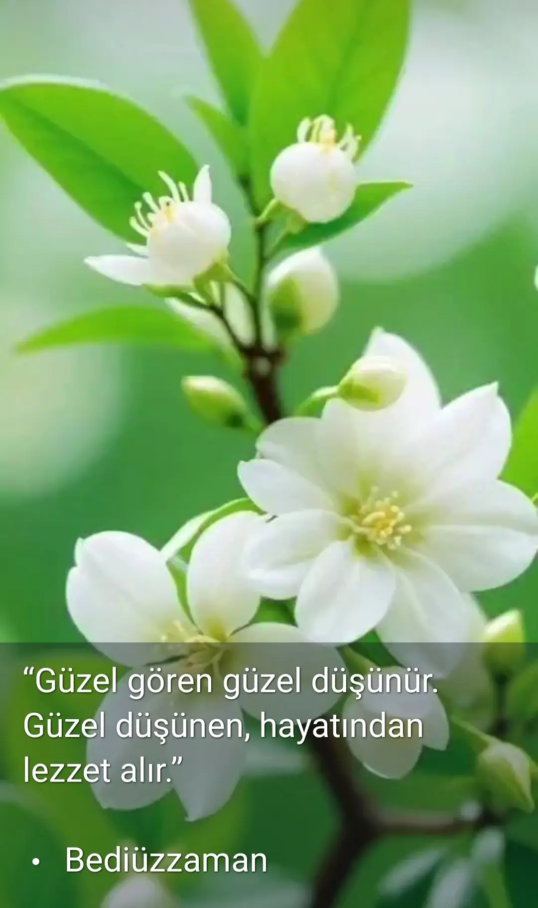 #keşfette #keşfettt #keşfett #tiktokindia #keşfetteyizzz #keşvettte #