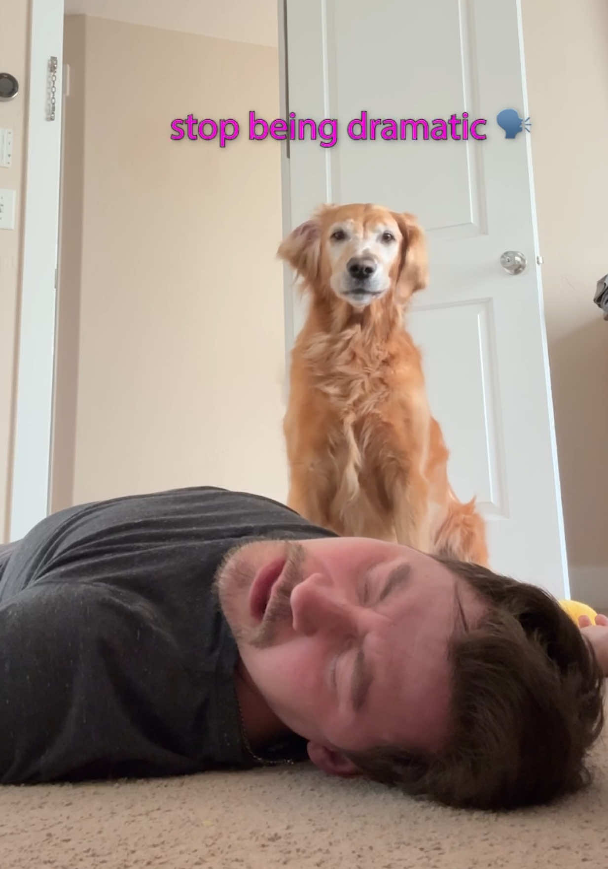 Nala woke up and chose chaos (and stomps)