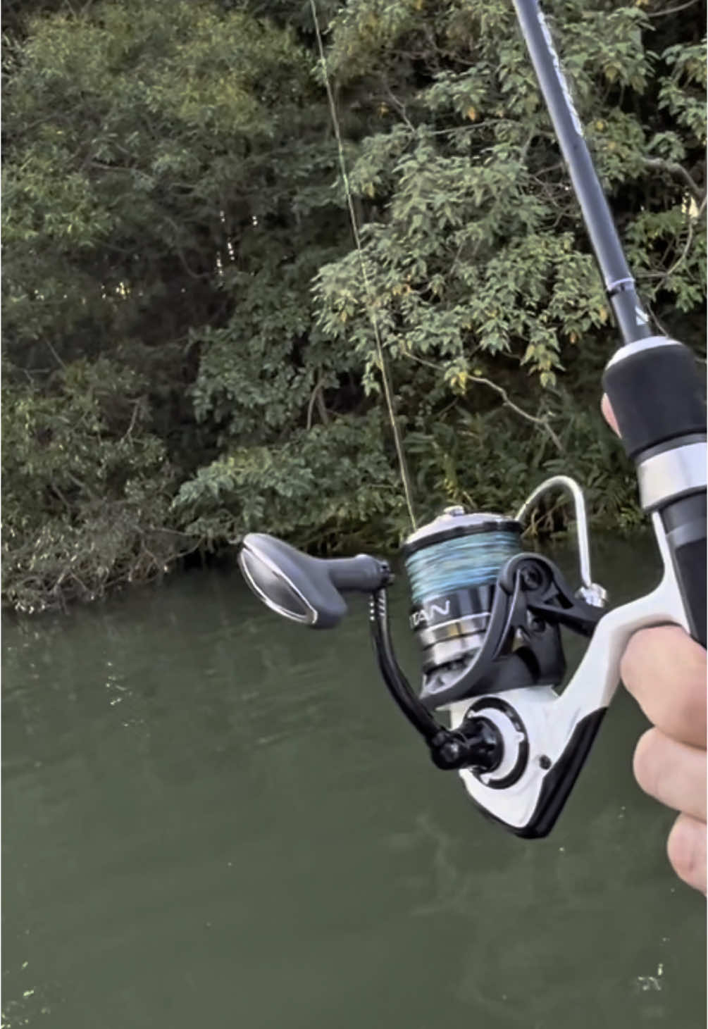 Molinete Titan 1000 da @Marine Fishing  . . . . . . . . #pesca #baitcaster #pescador #baitfishing #pescaesportiva #skipping #bait #kaiak 