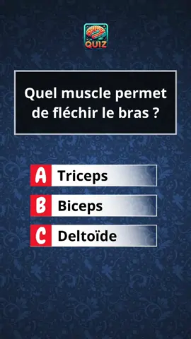 les muscles du corps humain #quiztime #specialist #muscle #quizz #o #quizshow #quizquestion #muscles #quizchallenge #anatomy 