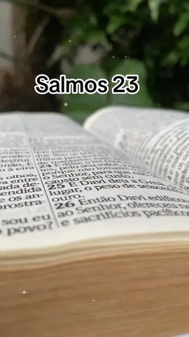 O senhor é meu pastor e nada me faltará 🙏#salmos #salmos23 #palavradedeus #jesusteama 