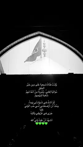 #الامام_علي_بن_ابي_طالب #313 #كربلاءالمقدسه #اهل_البيت_عليهم_سلام #امير_المؤمنين 