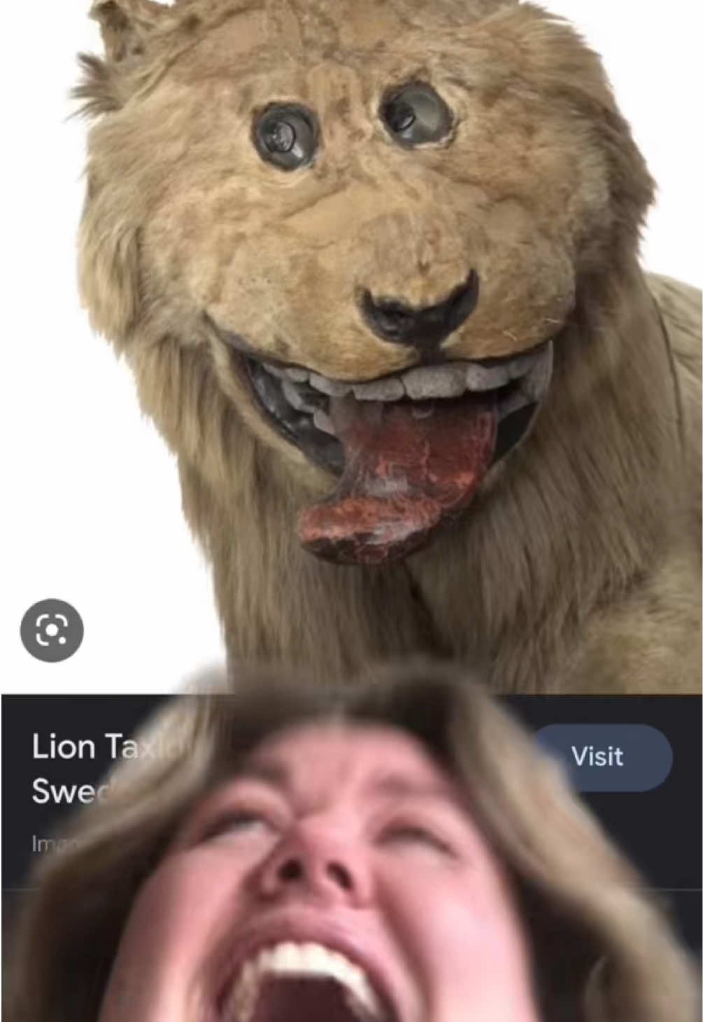 I still can’t believe this is real. HOW IS THIS REAL?????????????????????????????????(Repost) 