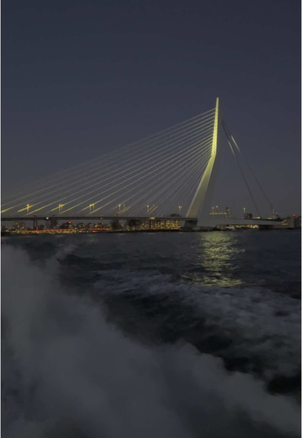 Rotterdam by Night 🇳🇱🏙️ #rotterdam #neerlandes #fyp #pt #trip 