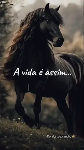 #cavalos #paixãoporcavalos #foryoupage #fyp #for #f #tempo #pense #cavalo #lindos #mineirinha #reflexão 