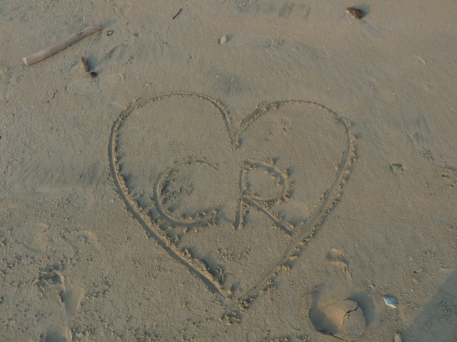 #costarica  #digital 🪷🩶🦥