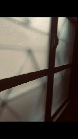 Free Live Photo !! #fyp 