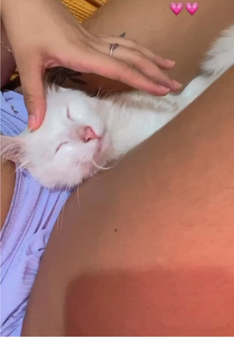 Meu grude ❤️
