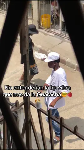 #parati #Viral #cali #guaracha no entienden🤼🍓