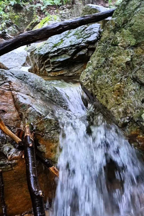 Beautiful valley 🌲💦 #naturevibes #nature #forest #forestlife #valley #relax #soothing #calm #calmdown #livewallpaper #koreatravel #chill 