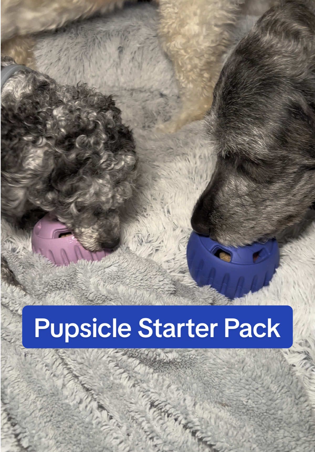 POV: Your dog just found their new obsession. Stuff it. Twist it. Watch the chaos disappear. The Pupsicle = peace and quiet in a cute little chew toy. You’re welcome. @Woof Pet #woofpet #TikTokMadeMeBuyIt #DogTok #PetTok #MustHave #ViralProducts #DogMom #FurBaby #Pupsicle #ChewToy #DogEnrichment #BusyDogHack #DogTreatToy #HighProteinTreats #DishwasherSafe #HealthyDogTreats #PetParentEssentials #KeepThemBusy #ChewerApproved #SeparationAnxietyHelp #BoredomBuster #DogChews	#DogHack #DogLifeHack #TreatTimeMagic #DogToyGoals #HappyPupHappyLife