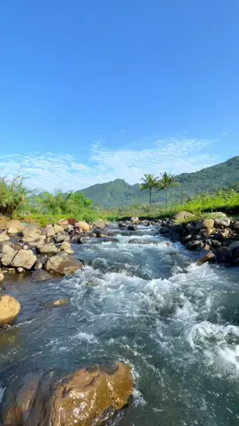 Pemandangan pagimu ketika hidup di desa 🍃 #KaliKuripan #DesaTunjungmuli #DesaPanusupan #Purbalingga #Sungai #SuasanaDesa #fyp #foryou 