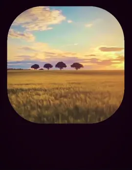 @Bo3omarEats @Amer  #فالكونز🦅💚 #اكسبلورexplore #viral #foryou #foryou #foryoupage #videostar #فالكونز #فالكون #مالي_خلق_احط_هاشتاقات #explore #ابو_عمر #ابوعمر #عامر #القوت #اكسبلور #tiktok #cupcut #r #ti #falcon 
